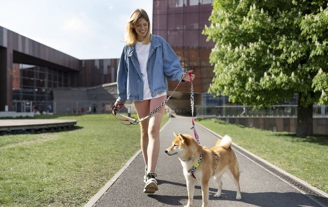 Как помочь животным в жару: правила прогулок с питомцем летом