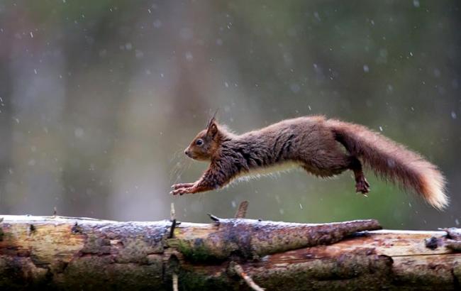 Погода на завтра: на всей территории Украины дожди с грозами, температура до +24