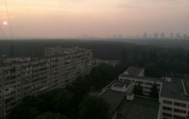 Пожар в Дарницком лесу Киева ликвидирован, - ГСЧС