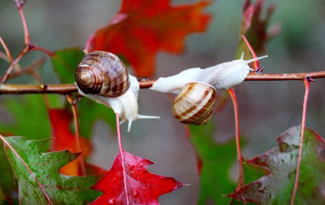 Погода на сьогодні: по всій країні мінлива хмарність, температура до +30