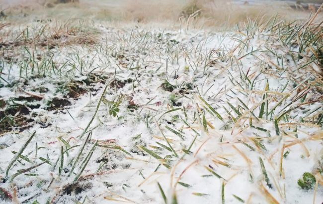 Первый снег в Украине: в сети поделились новыми фото и видео