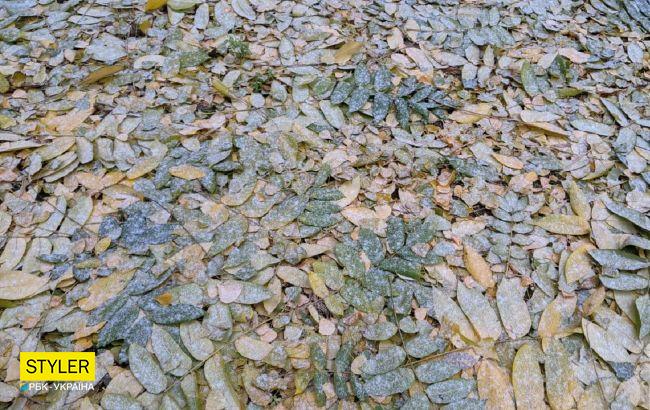 В Киеве выпал первый снег: фото и видео запорошенной столицы