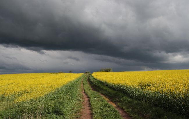 Синоптики объявили штормовое предупреждение в Украине