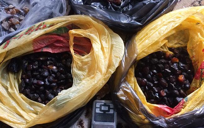 СБУ изъяла более 3 тонн янтаря в Житомирской области