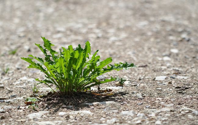 Синоптики объявили об опасности из-за антициклона Burkhart: что будет с погодой