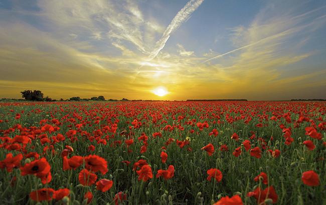 Погода на сегодня: в Украине переменная облачность, местами дожди с грозами, температура до +28