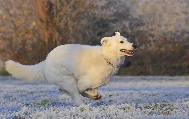 Погода на сегодня: в Украине без осадков, температура от -8 до +6&nbsp;&nbsp;
