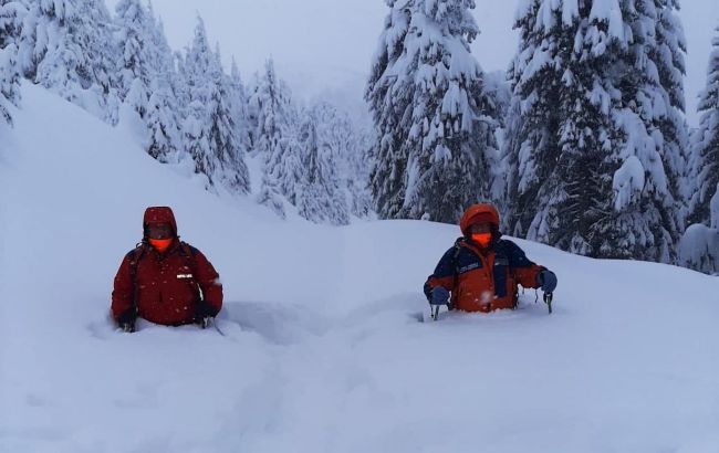 Снегопад и метель. В Карпатах объявлено штормовое предупреждение