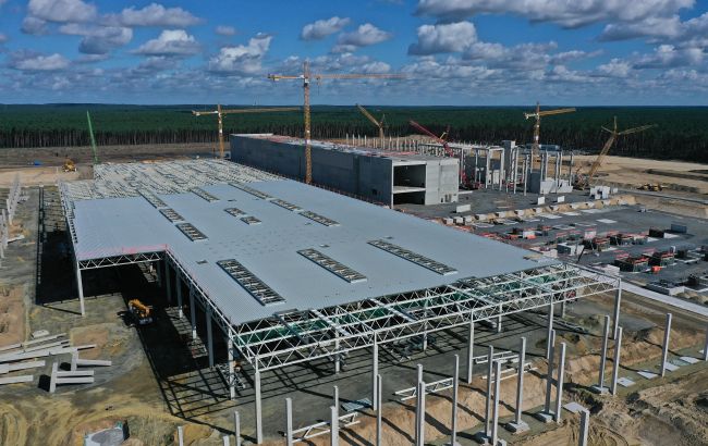 Будівництво заводу Tesla під Берліном зупинили через екологів