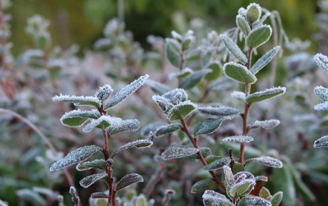 От -5 мороза до +22 тепла: синоптики предупредили о резких перепадах погоды