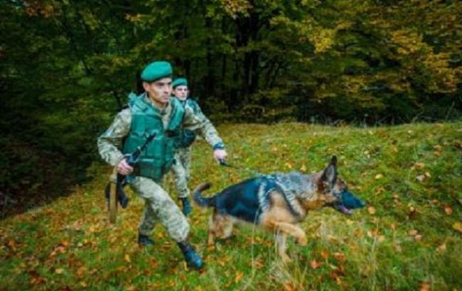 Количество изъятого на украинской границе оружия и боеприпасов увеличилось в 4,5 раза, - ГПСУ