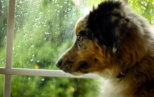 Погода на сегодня: в Украине переменная облачность, местами дожди, температура до +17