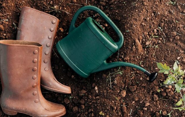 Чи треба поливати город безсніжною зимою? Ця помилка може коштувати вам врожаю