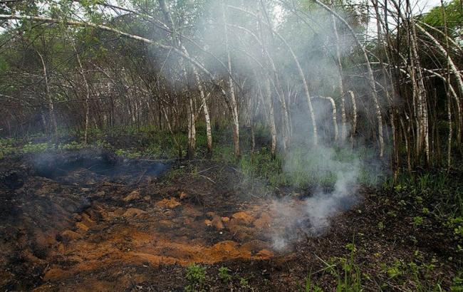 В Киевской обл. создана межведомственная рабочая группа по предупреждению торфяных пожаров