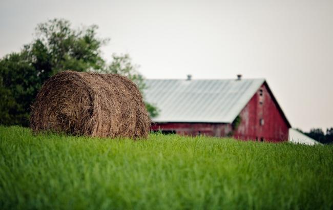 "Юнісон груп" просить провести розслідування щодо рейдерського захоплення СЧП "Чумаки"