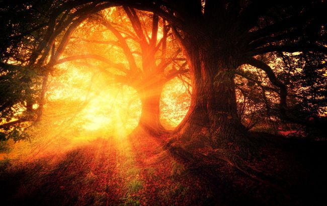 Начало июля будет очень напряженным: астролог предупредила нас об "аварийном времени"