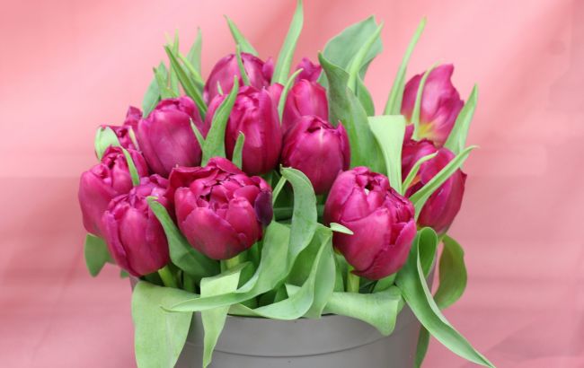 Новий календар свят на березень 2023: чи буде вихідним 8 березня?