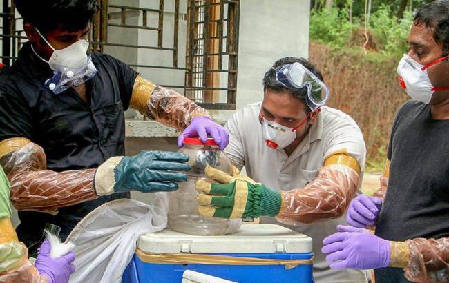 В Индии от вируса Нипах умерли по меньшей мере 10 человек