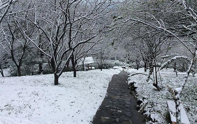 На Тайване из-за аномальных холодов погибли 53 человека