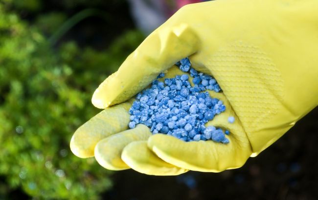 Україна вводить антидемпінгове мито на ввезення добрив з РФ