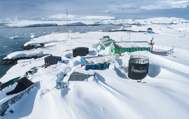 Пінгвіни, ізоляція і полярна ніч: як живуть полярники на станції "Академік Вернадський"