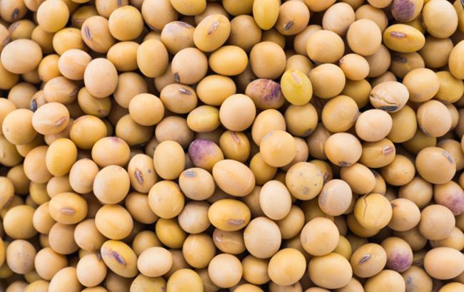 Відміна &laquo;соєвих правок&raquo; негативно позначиться на подальших спробах держави відійти від сировинної моделі розвитку аграрної економіки - Інститут аграрної економіки