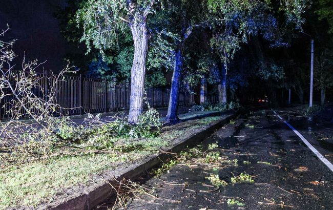 Негода паралізувала Харків: немає світла, затримка поїздів та постраждалі
