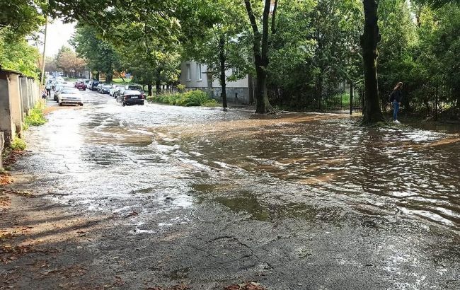 Поваленные деревья и подтопленные улицы: Львов накрыли гроза и сильный ветер