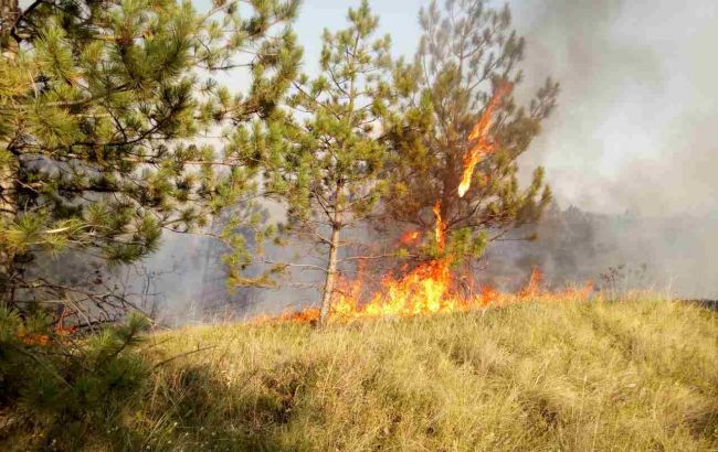 Минулої доби в Україні виникло 308 пожеж на відкритих територіях