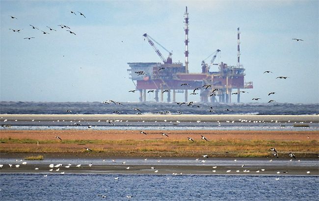 Закупка буровых установок была совершена в интересах окружения Януковича, - эксперт