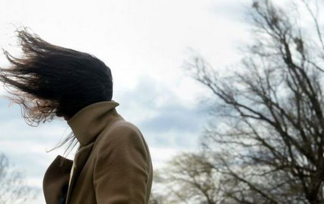 Синоптики попереджають про сильні пориви вітру в західній Україні