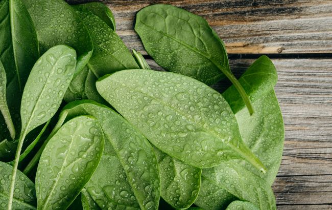 Суперовоч за 20 гривень, який неодмінно треба їсти весною