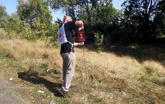 ВСУ: в Донецкой обл. началась маркировка опасных минных участков