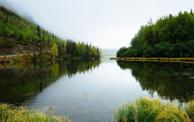 Под Львовом ассенизационная машина Укрзализныци сливала нечистоты в реку