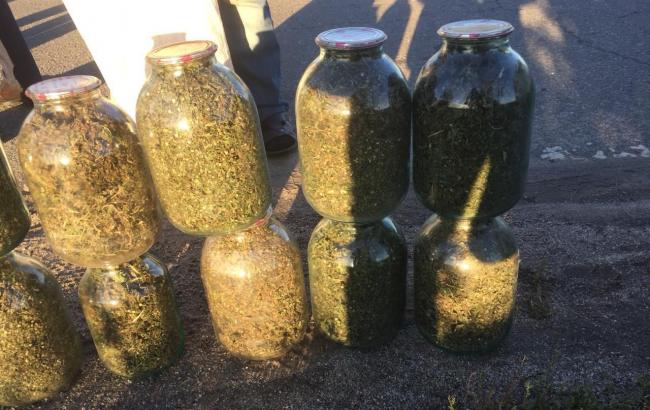 В Киевской области перекрыли межрегиональный канал поставки наркотиков