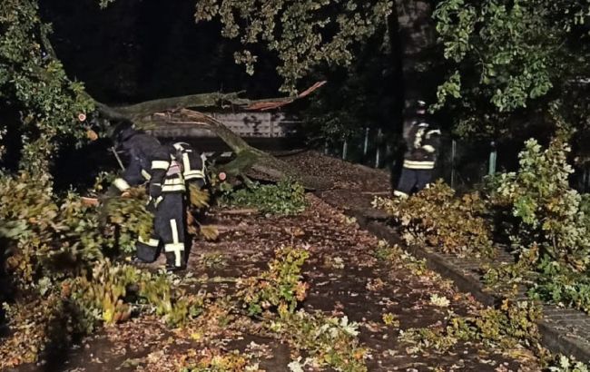 Ивано-Франковск подтопило из-за сильного ливня