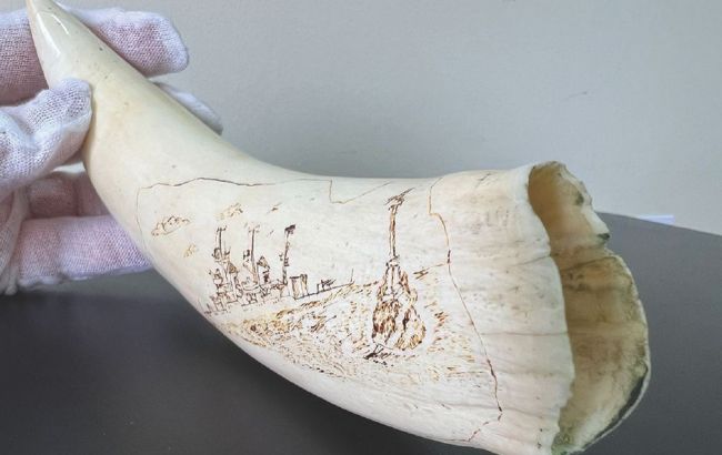 Контрабандні рекорди: найдивніші речі, які намагалися вивезти з України