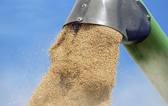 В Украине выросли объемы аграрного экспорта