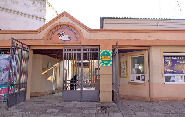 Одесса вопреки карантину возобновляет работу зоопарка