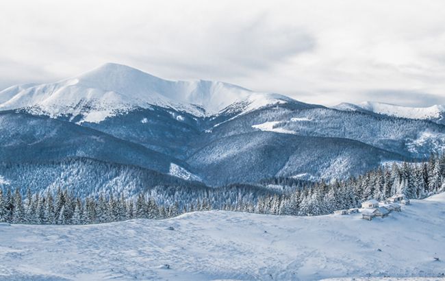 В Карпатах заметили горного "призрака": яркое фото