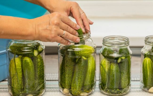 Ці помилки при консервуванні огірків зіпсують всю закуску: не робіть так