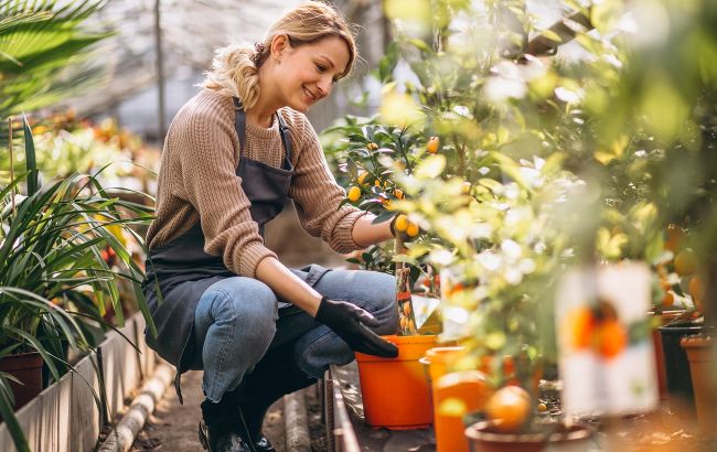 "Багато тут не заробити". Що потрібно знати українцям про зарплати у Португалії