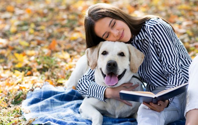 Який вік вашого собаки за людськими мірками: простий спосіб визначення
