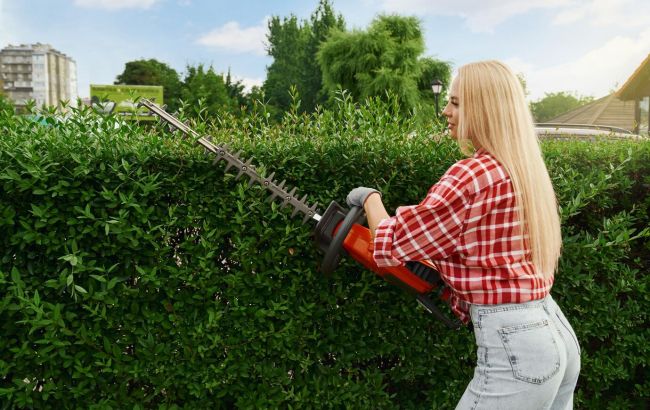 Жива огорожа, що виглядає по-королівськи: як зробити стильний зелений паркан біля дому