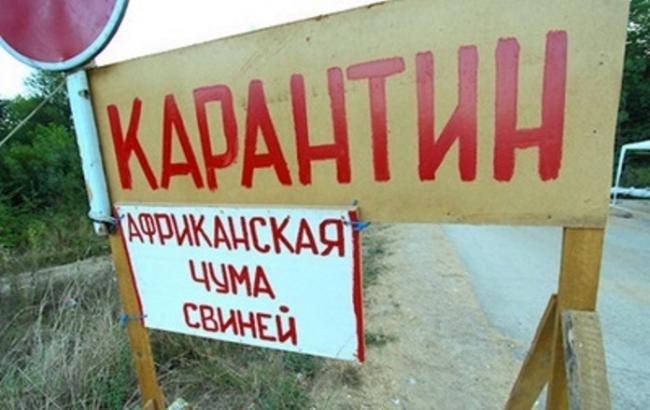 АЧС обнаружили еще в четырех пунктах, - Госветфитослужба