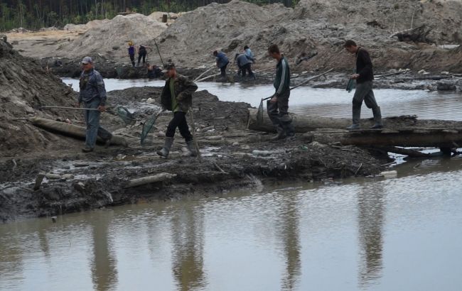 Минэкологии против запрета частным компаниям добывать янтарь