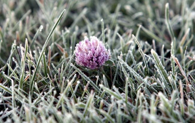 Синоптики предупреждают о заморозках на почве в западных областях