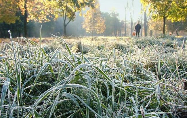 ГСЧС предупреждает о заморозках в некоторых областях Украины