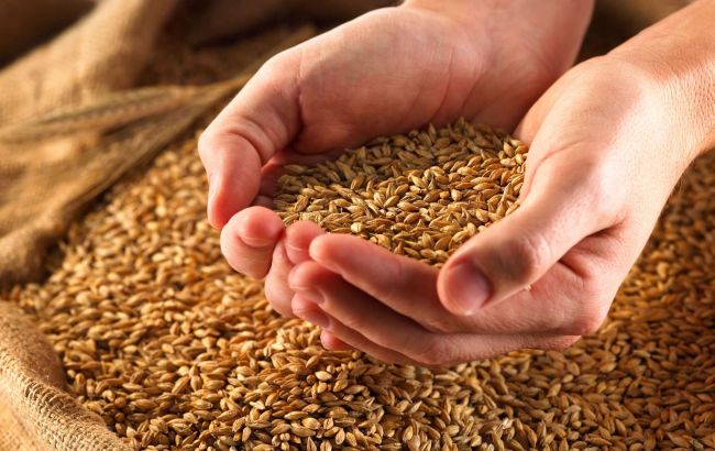 Украина экспортировала более 20 млн тонн зерна