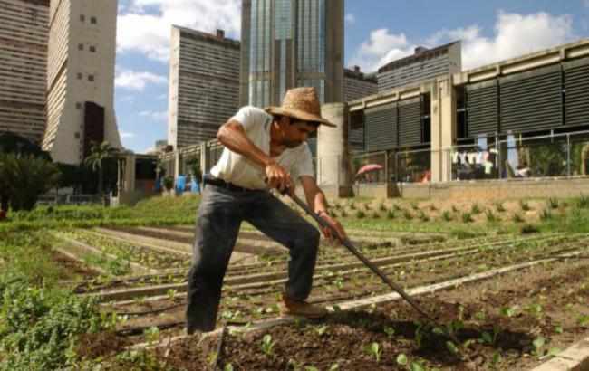 ФАО: эрозия почв приведет к потерям зерновых к 2050 году на свыше 253 млн тонн